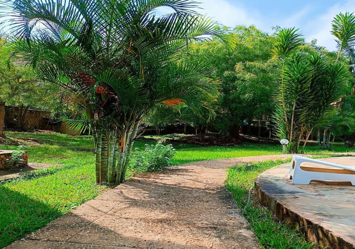 Lush garden walkway at Raquel's Bliss